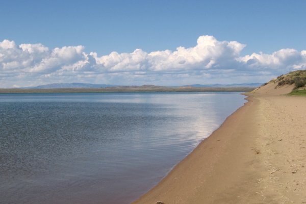 Как зарегаться на кракене