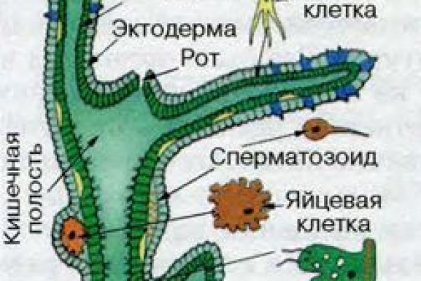 Кракен ссылка на тор официальная онион