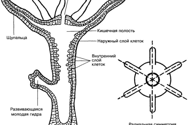 Кракен маркетплейс ссылка