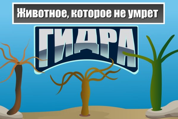 Что случилось с кракеном маркетплейс